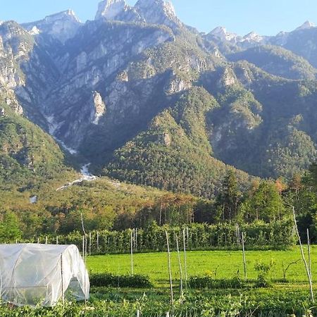 B&B La Casa In Campagna Ospedaletto  Εξωτερικό φωτογραφία